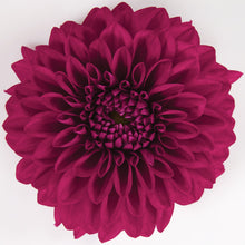 Afbeelding in Gallery-weergave laden, Dahlia
