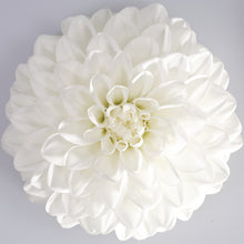 Afbeelding in Gallery-weergave laden, Dahlia