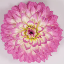 Afbeelding in Gallery-weergave laden, Dahlia