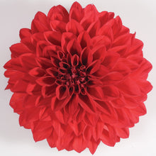 Afbeelding in Gallery-weergave laden, Dahlia
