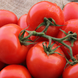 Tomatenplantje - Premio