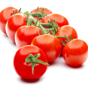 Tomatenplantje - Supersweet